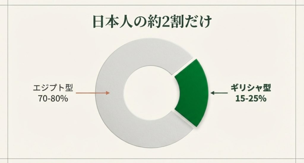 日本人の割合とエジプト型やスクエア型との違い