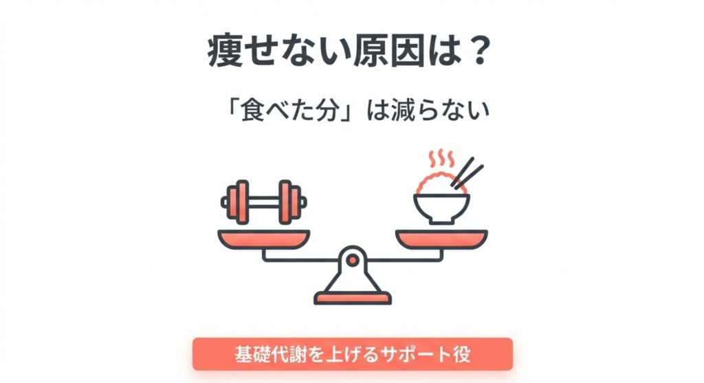 痩せない原因は食事や強度の不足にある画像。
