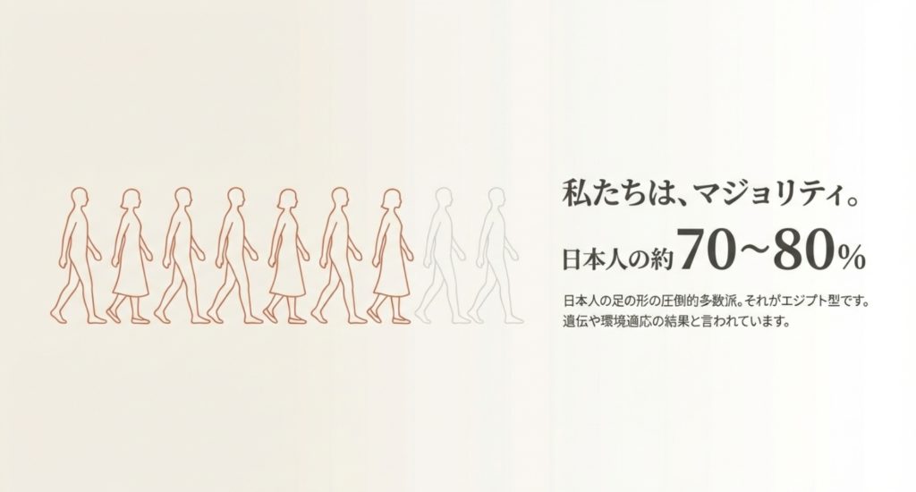 日本人の約8割が該当する足の形の統計的背景